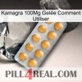Kamagra 100Mg Gelée Comment Utiliser levitra1